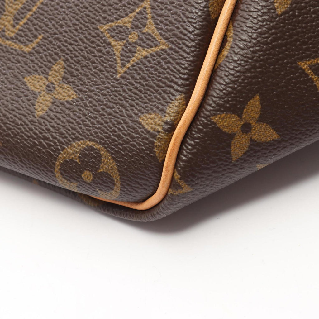 Louis Vuitton Brown Monogram Pvc Leather Boston Bag
