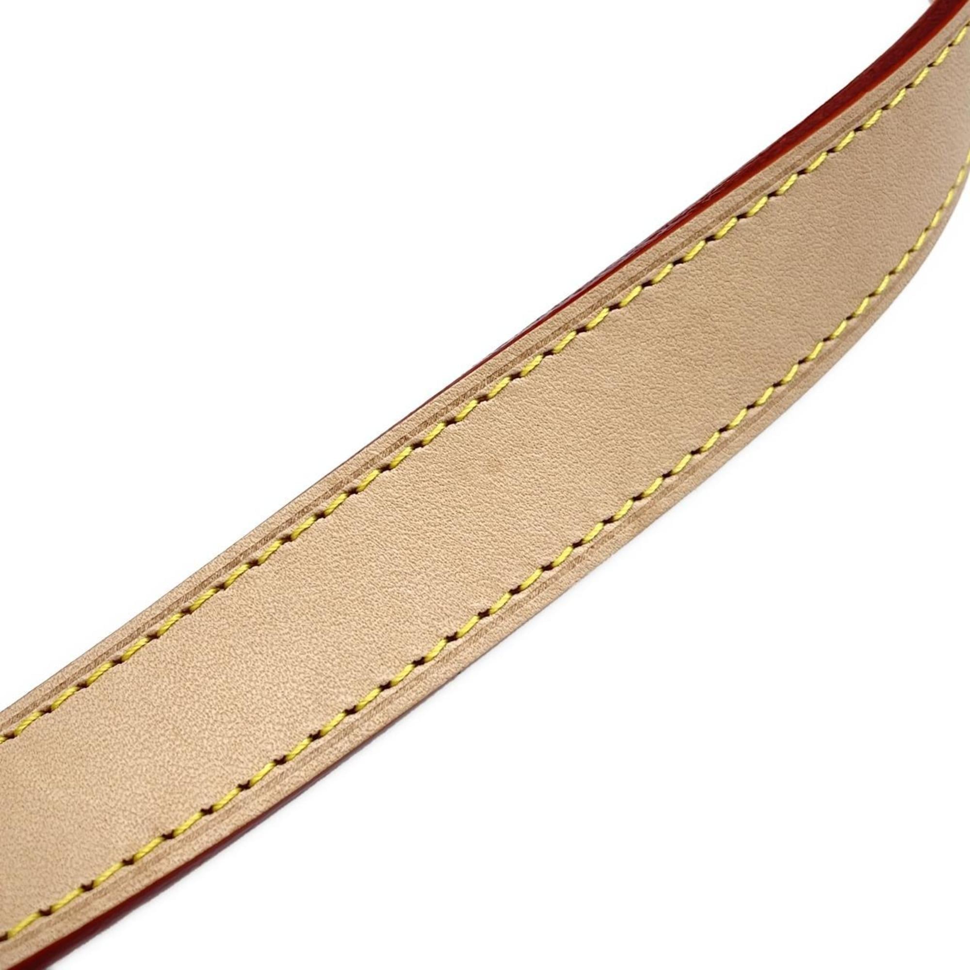 Louis Vuitton Dune Leather Handbag