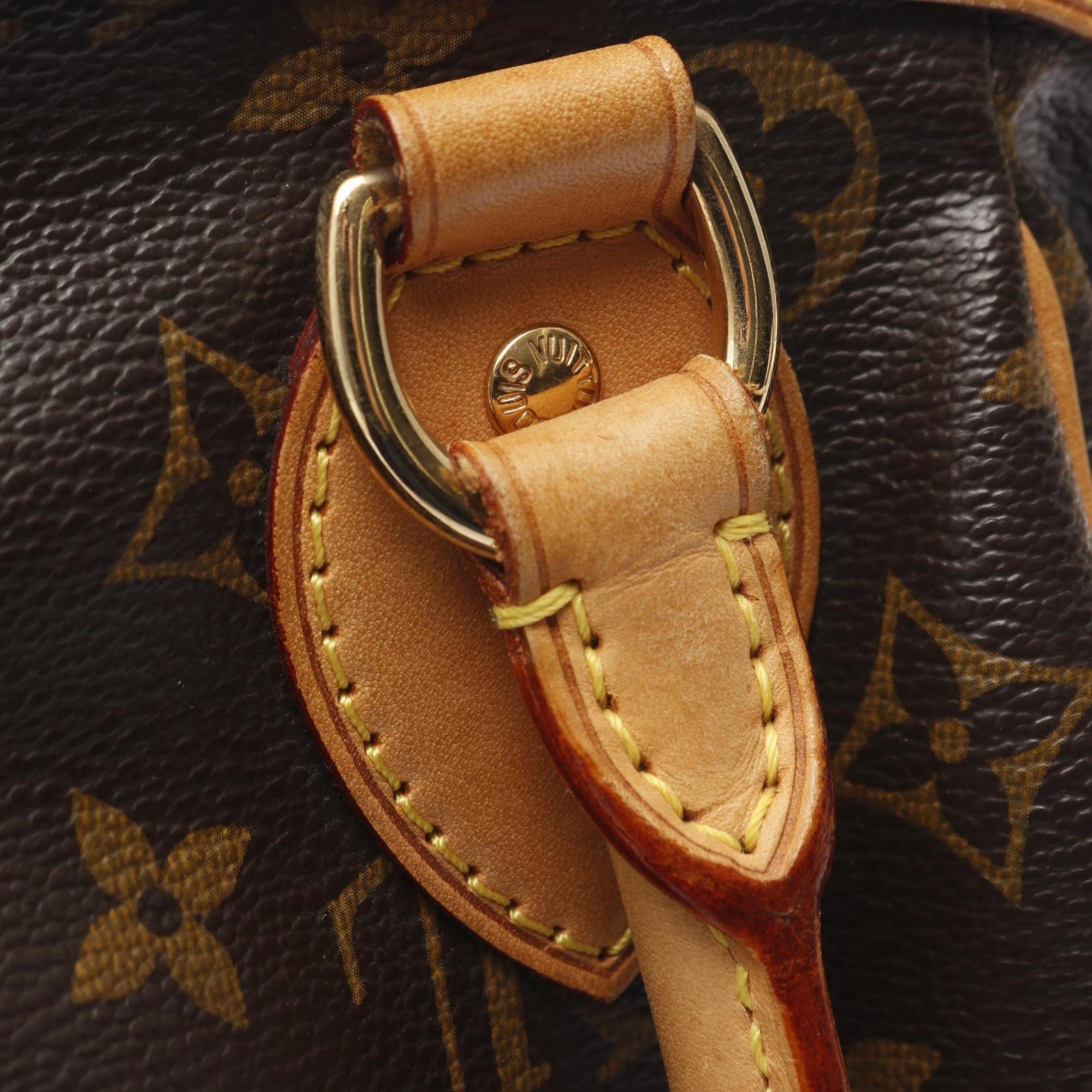 Louis Vuitton Brown Monogram Monogram Handbag