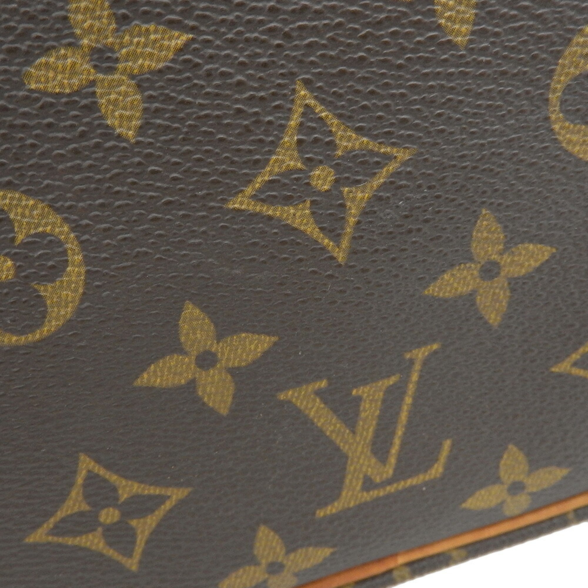 Louis Vuitton Monogram Pvc Shoulder Bag