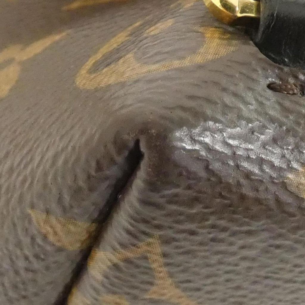 Louis Vuitton Black Marron Coated Canvas Backpack