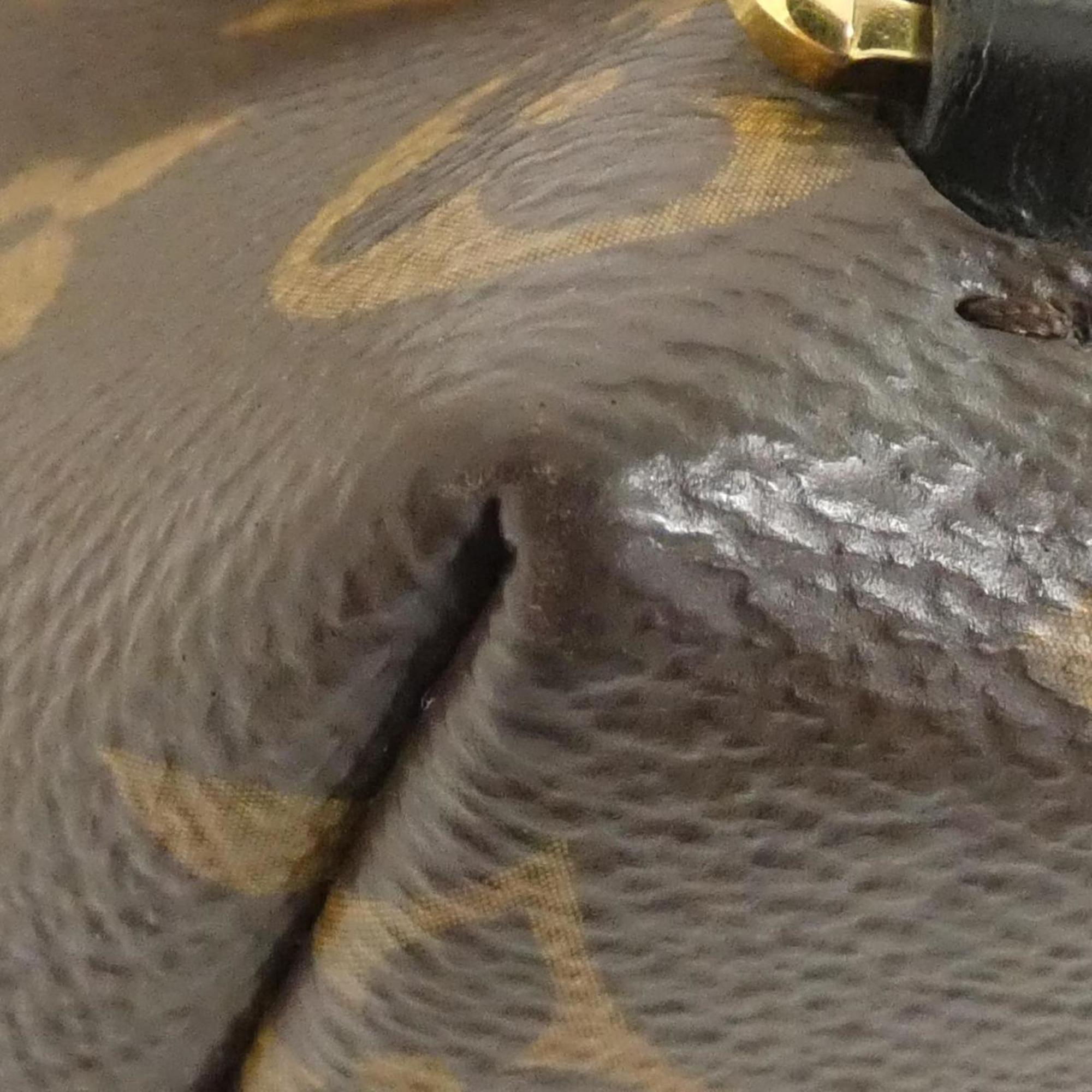 Louis Vuitton Black Marron Coated Canvas Backpack