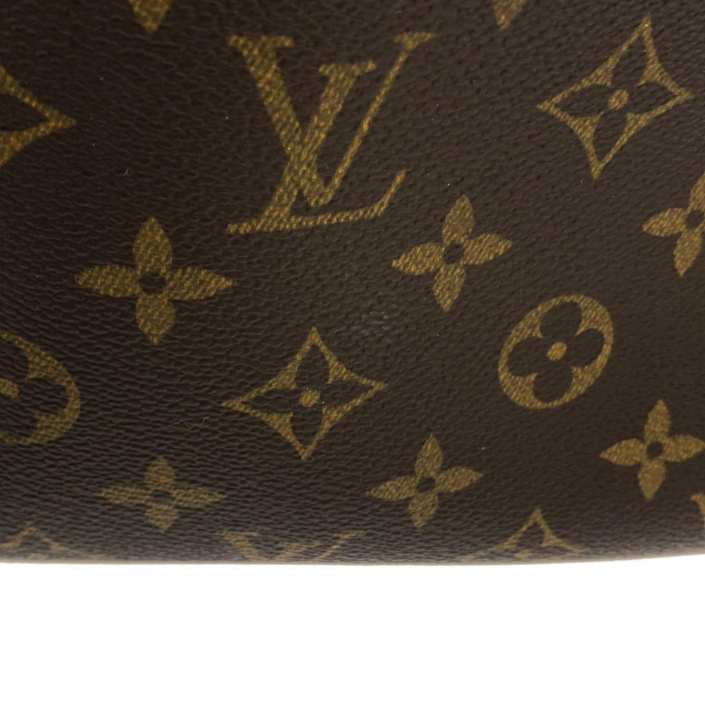 Louis Vuitton Marron Monogram Monogram Coated Canvas Handbag