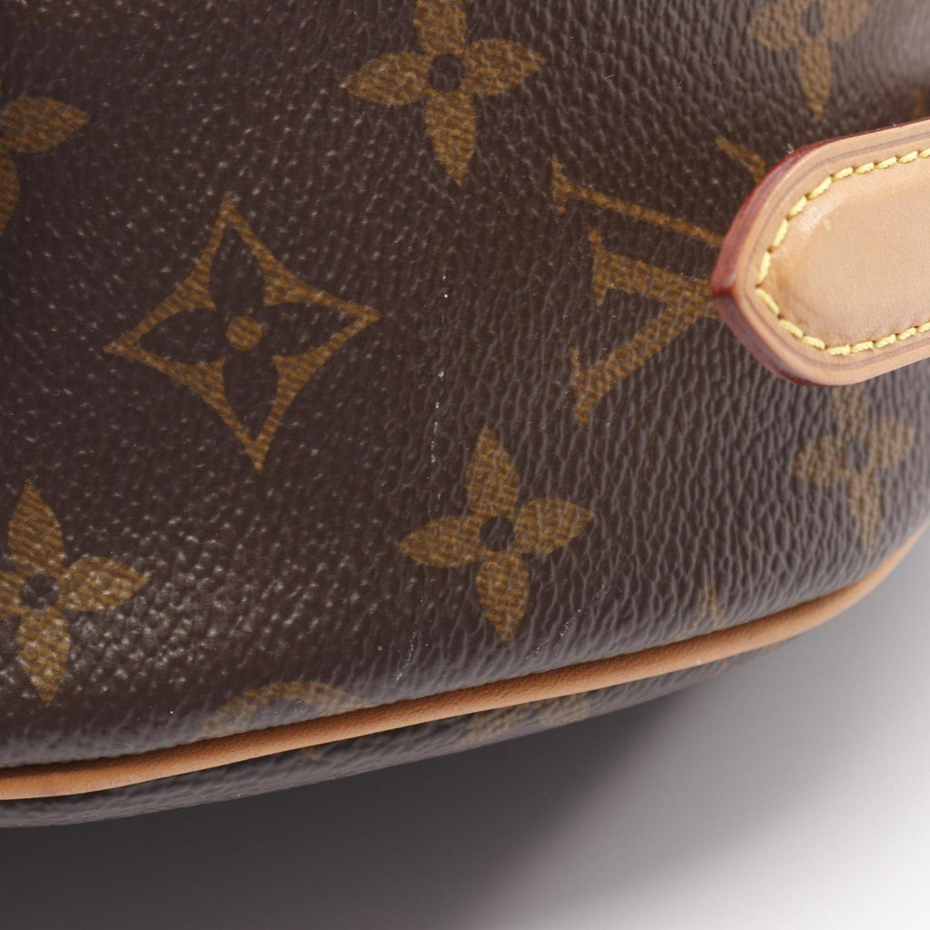 Louis Vuitton Brown Monogram Monogram Shoulder Bag