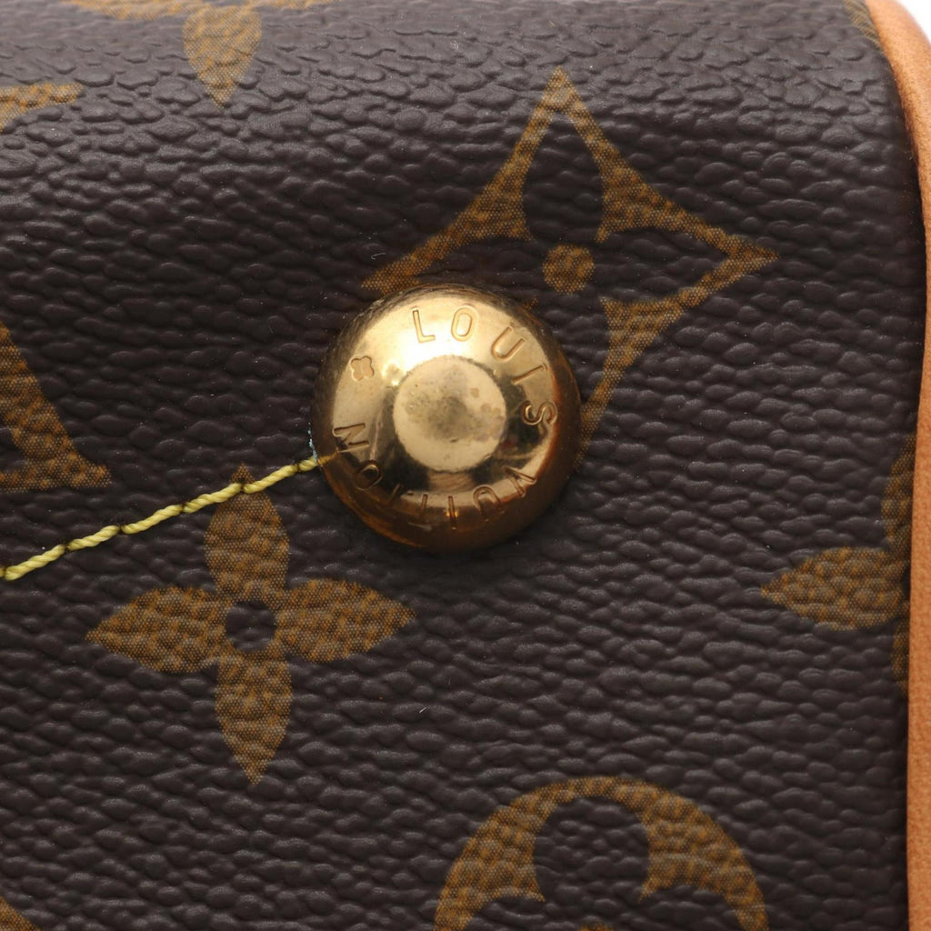 Louis Vuitton Brown Coated Canvas Leather Handbag