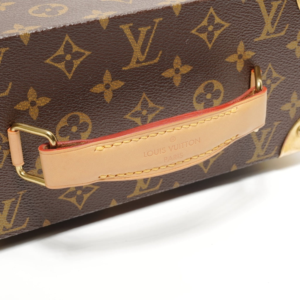 Louis Vuitton Brown Handbag