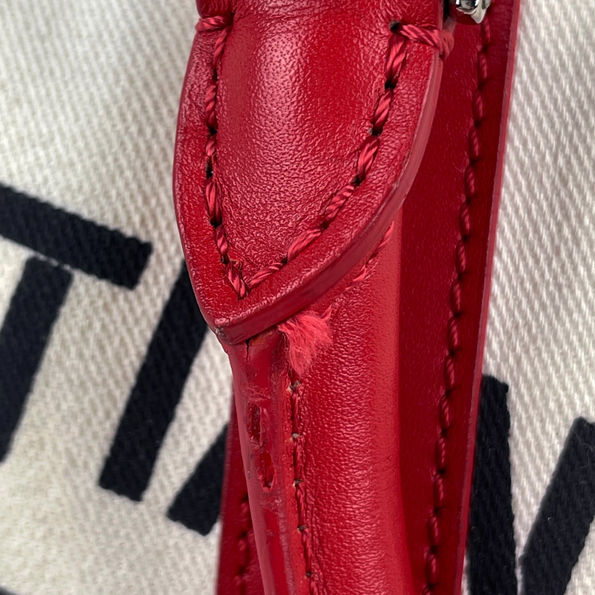 Christian Dior Blue Red Color White Canvas Leather Handbag (Pre-Owned)