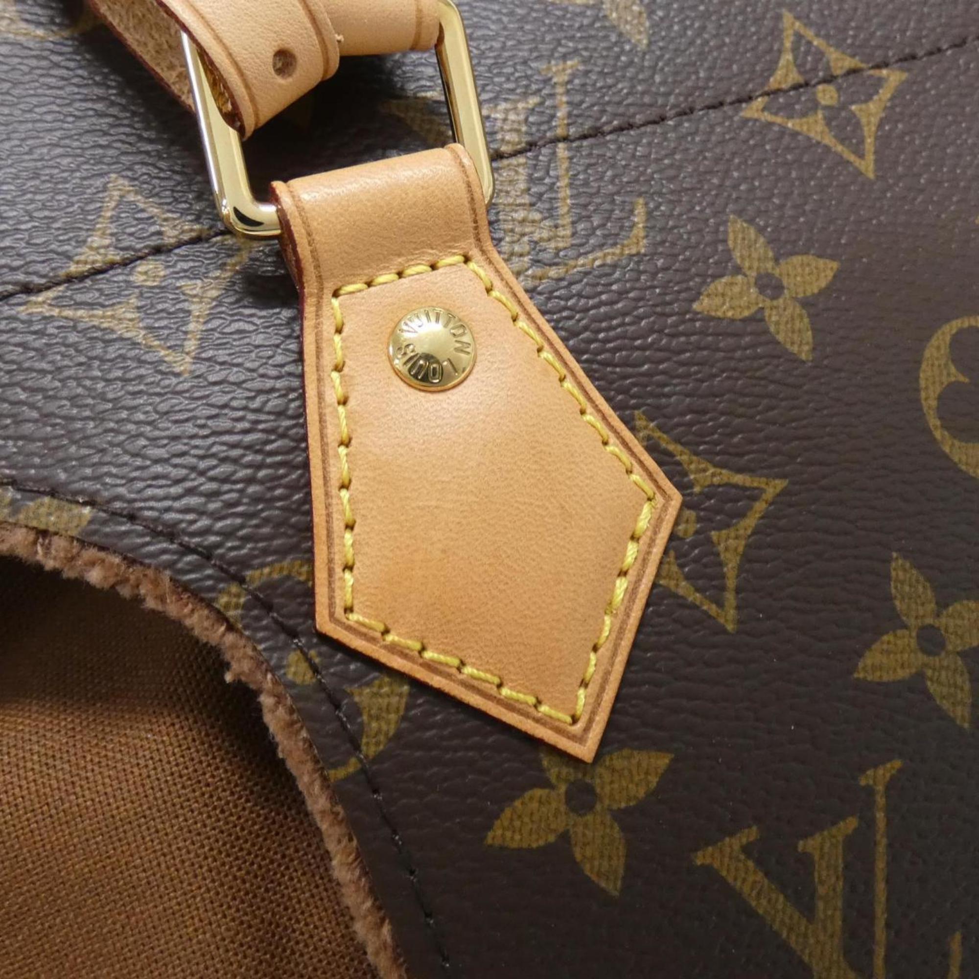Louis Vuitton Marron Coated Canvas Handbag