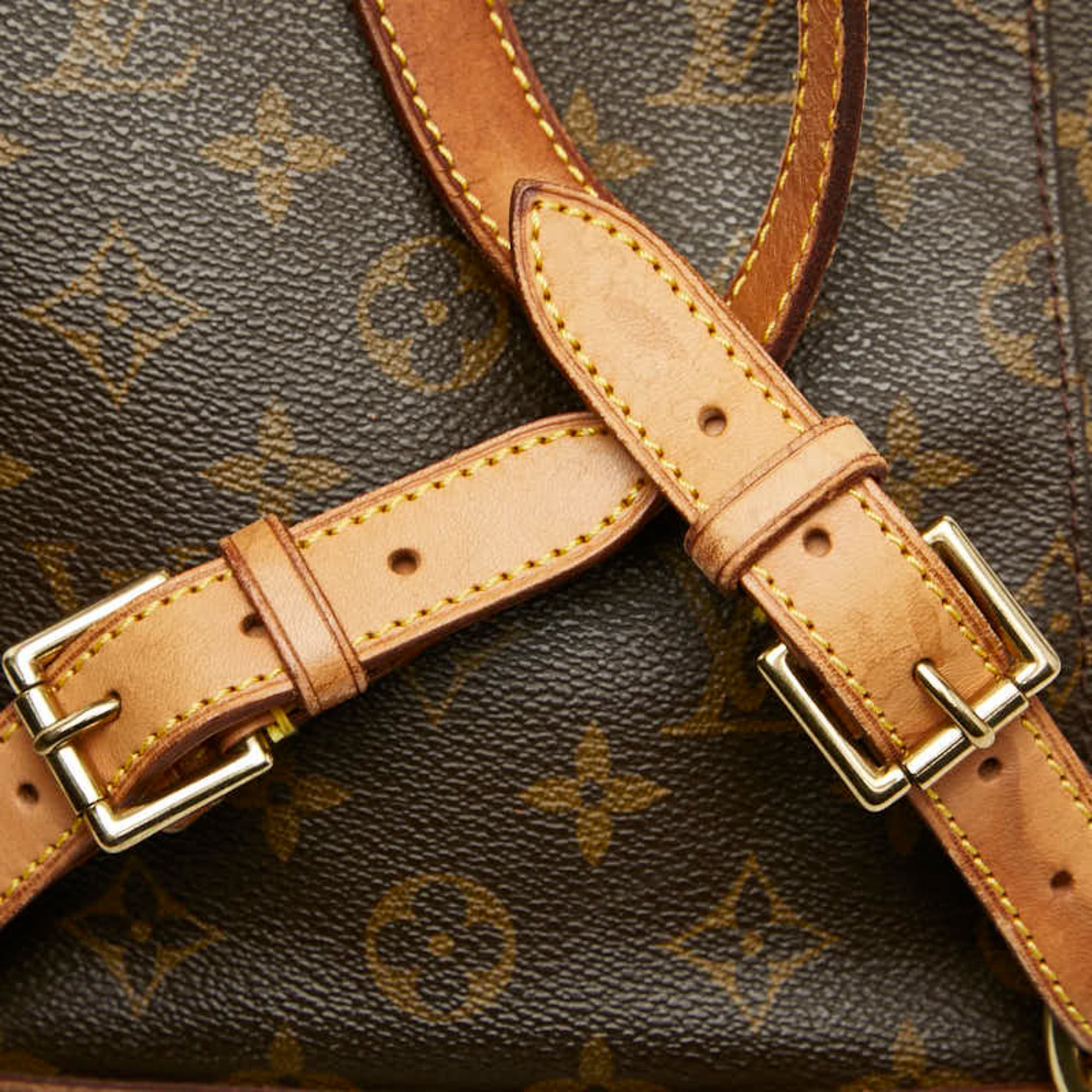 Louis Vuitton Brown Pvc Leather Backpack