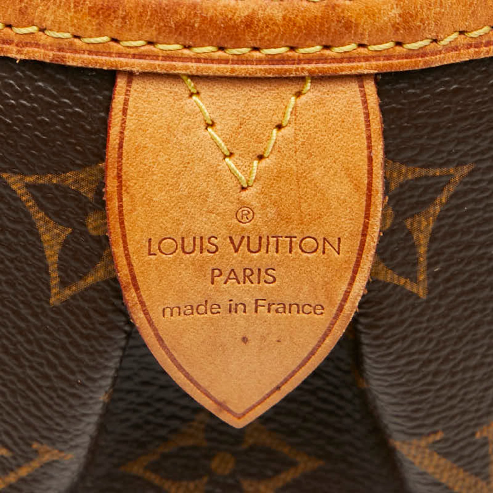 Louis Vuitton Brown Monogram Pvc Leather Handbag