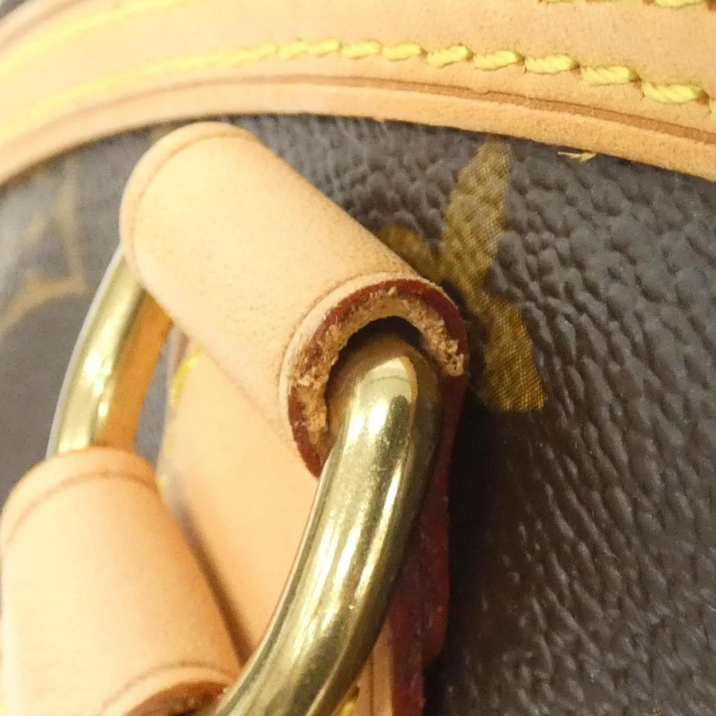 Louis Vuitton Marron Coated Canvas Handbag
