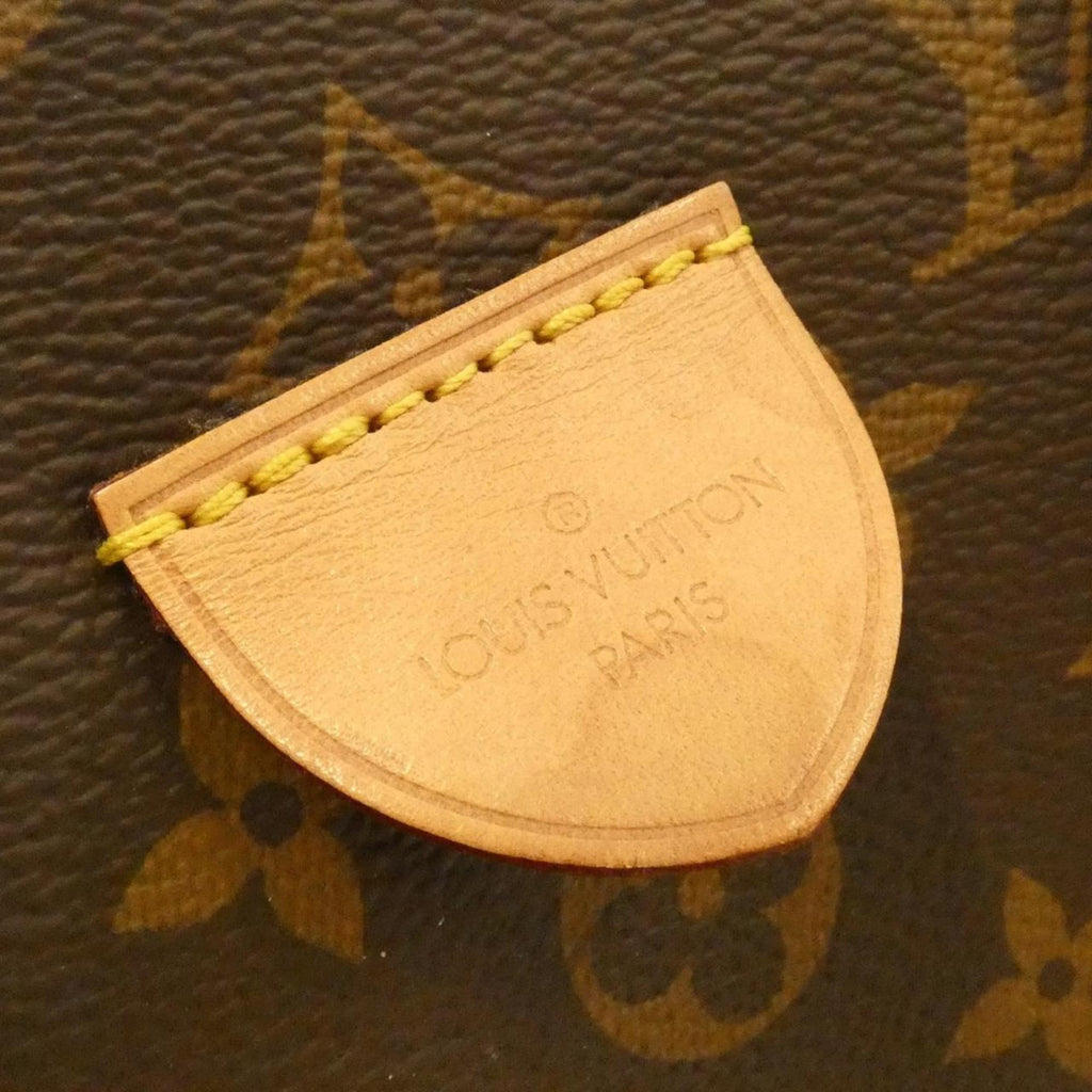 Louis Vuitton Marron Coated Canvas Handbag