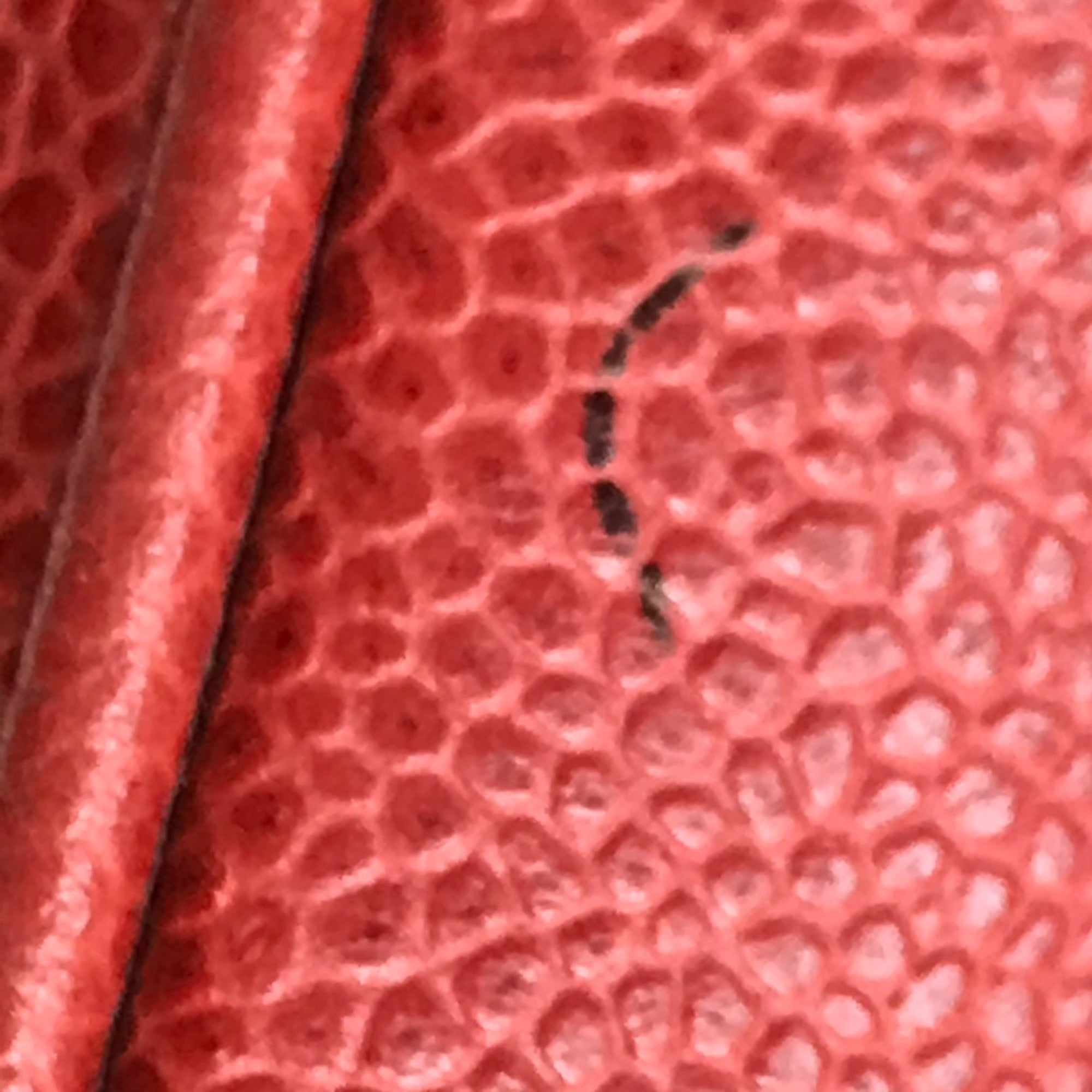 Chanel Red Leather Handbag