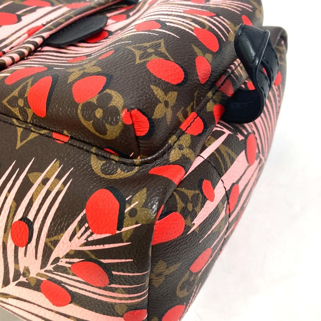 Louis Vuitton Brown Pink Red Color Monogram Backpack
