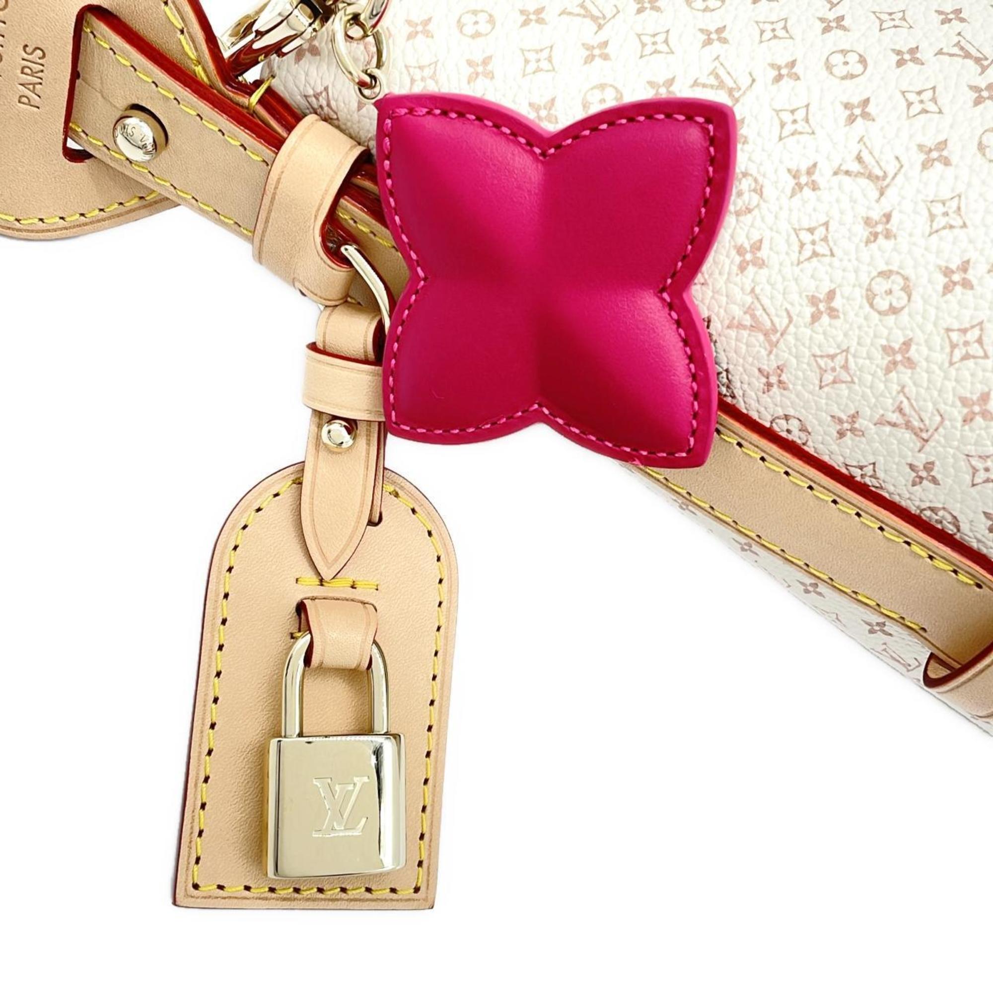 Louis Vuitton Dune Leather Handbag