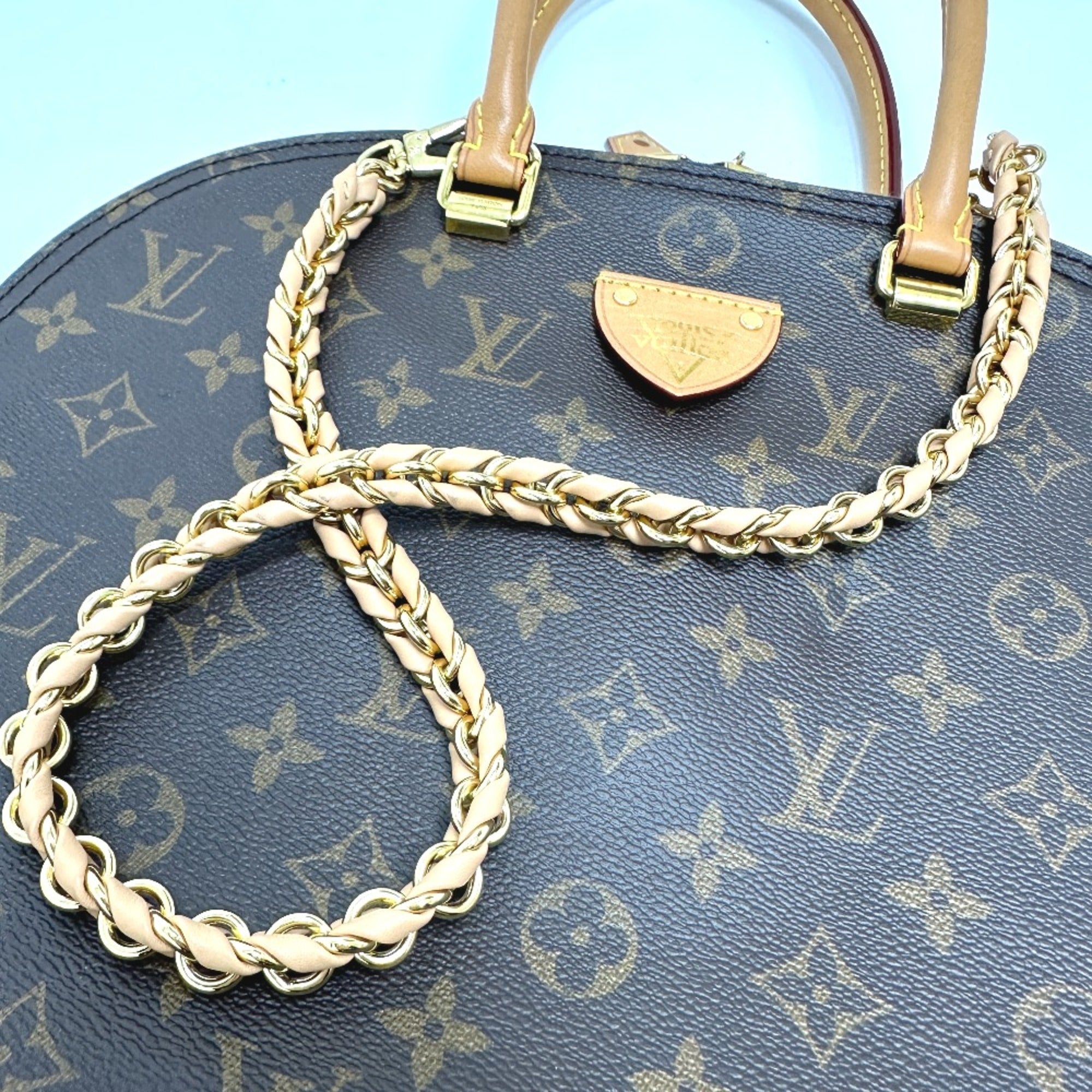 Louis Vuitton Brown Other Handbag