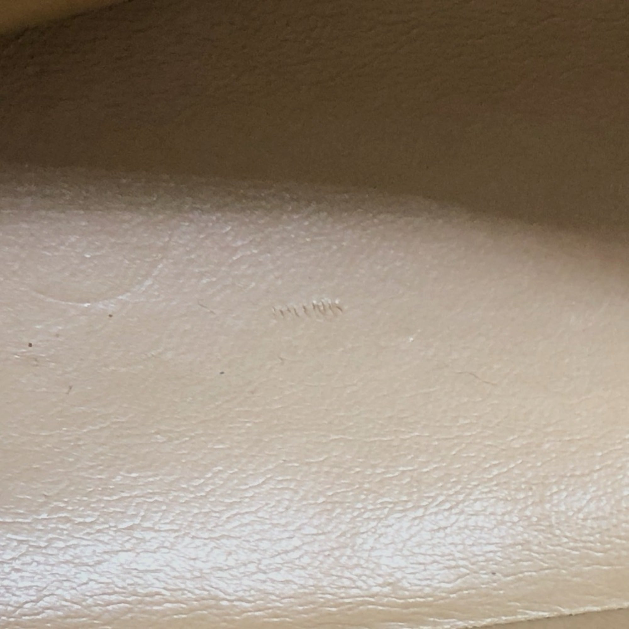 Chanel Beige Leather Tote Bag