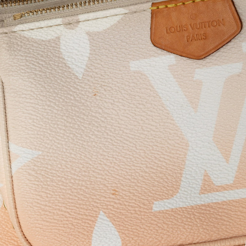Louis Vuitton Pink Beige Pvc Leather Shoulder Bag