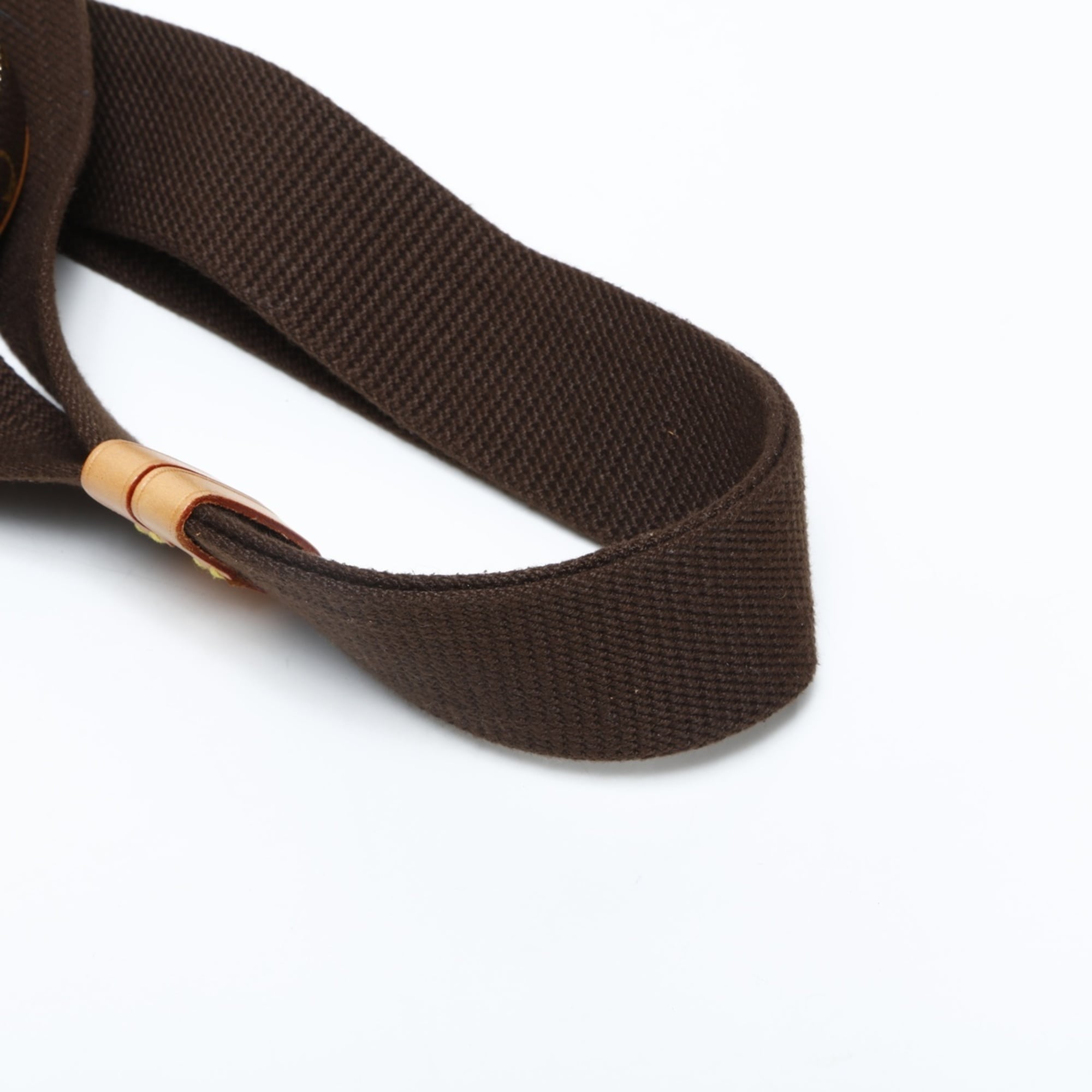 Louis Vuitton Monogram Brown Monogram Fanny Pack