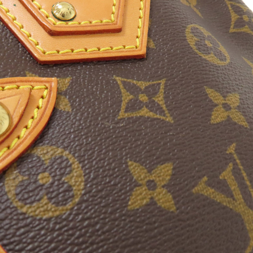 Louis Vuitton Monogram Monogram Handbag