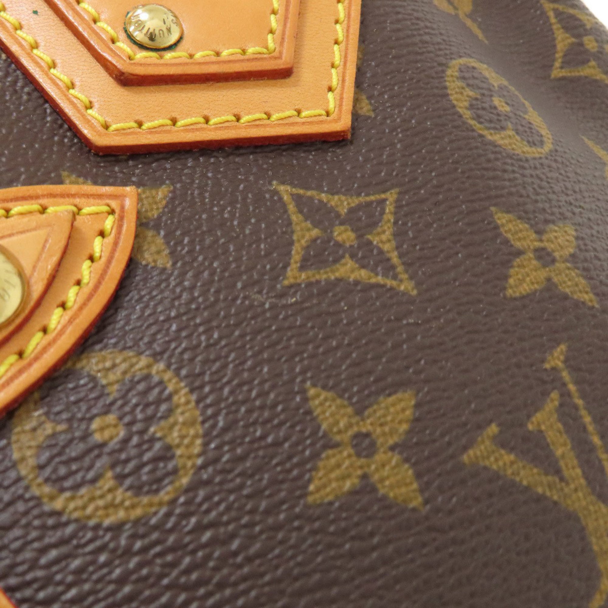 Louis Vuitton Monogram Monogram Handbag