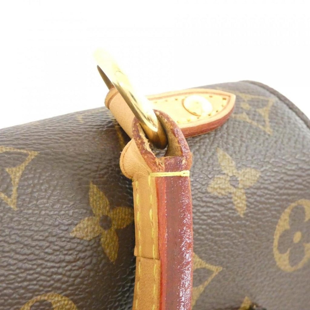 Louis Vuitton Marron Coated Canvas Handbag