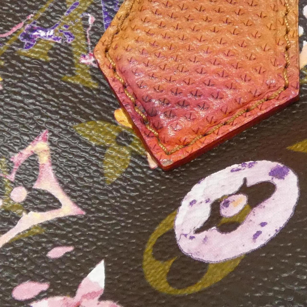 Louis Vuitton Monogram Watercolor Marron Coated Canvas Handbag