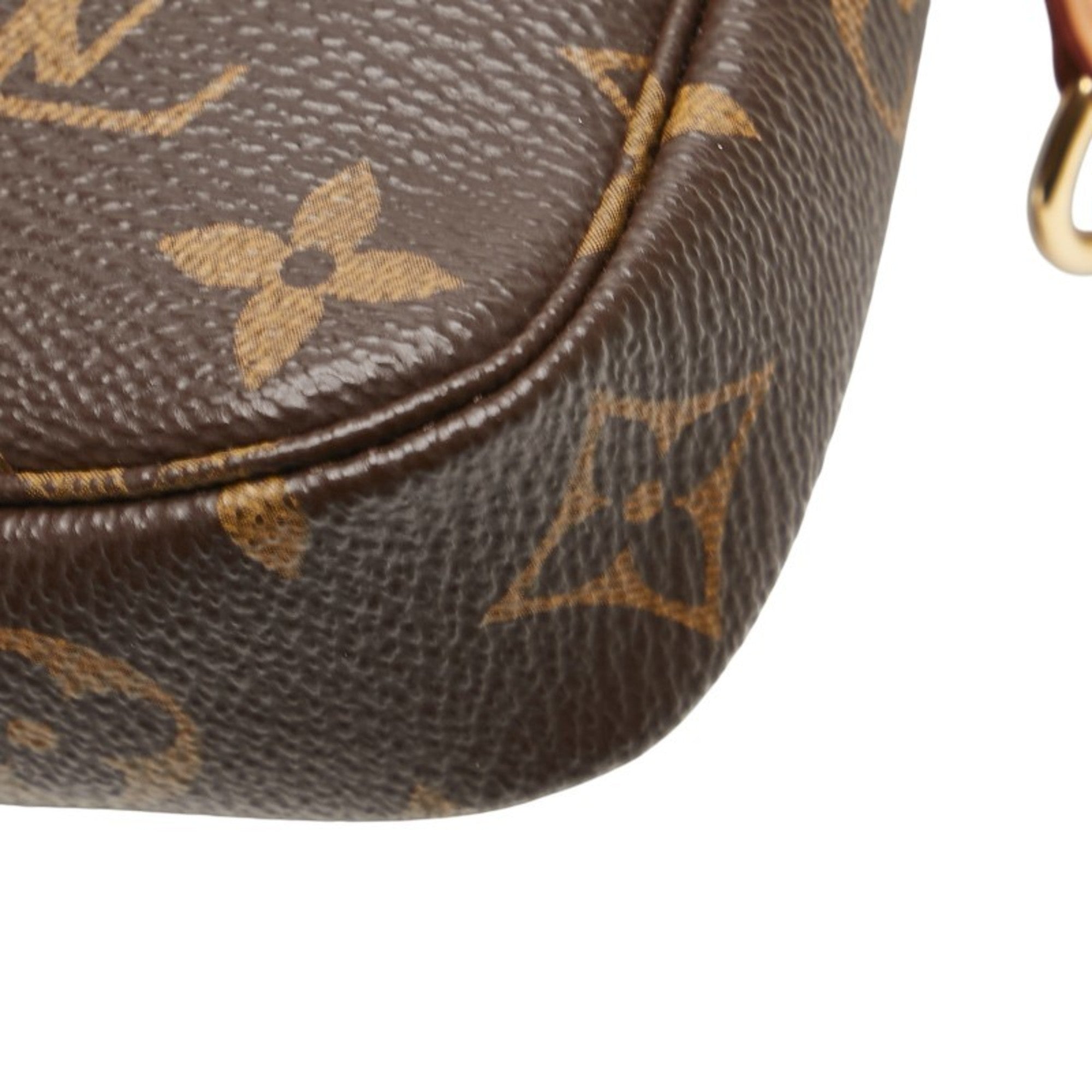 Louis Vuitton Monogram Brown Pvc Leather Pochette