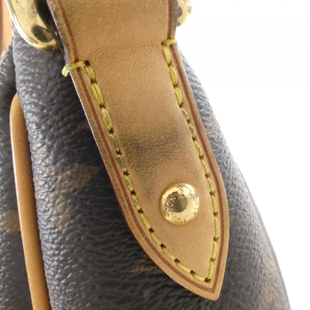 Louis Vuitton Marron Coated Canvas Handbag