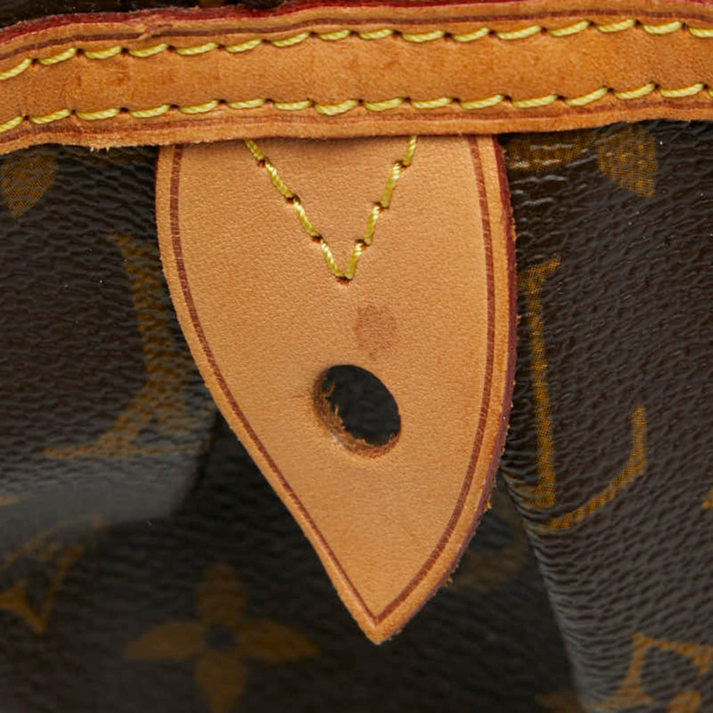 Louis Vuitton Brown Pvc Leather Handbag Tote Bag