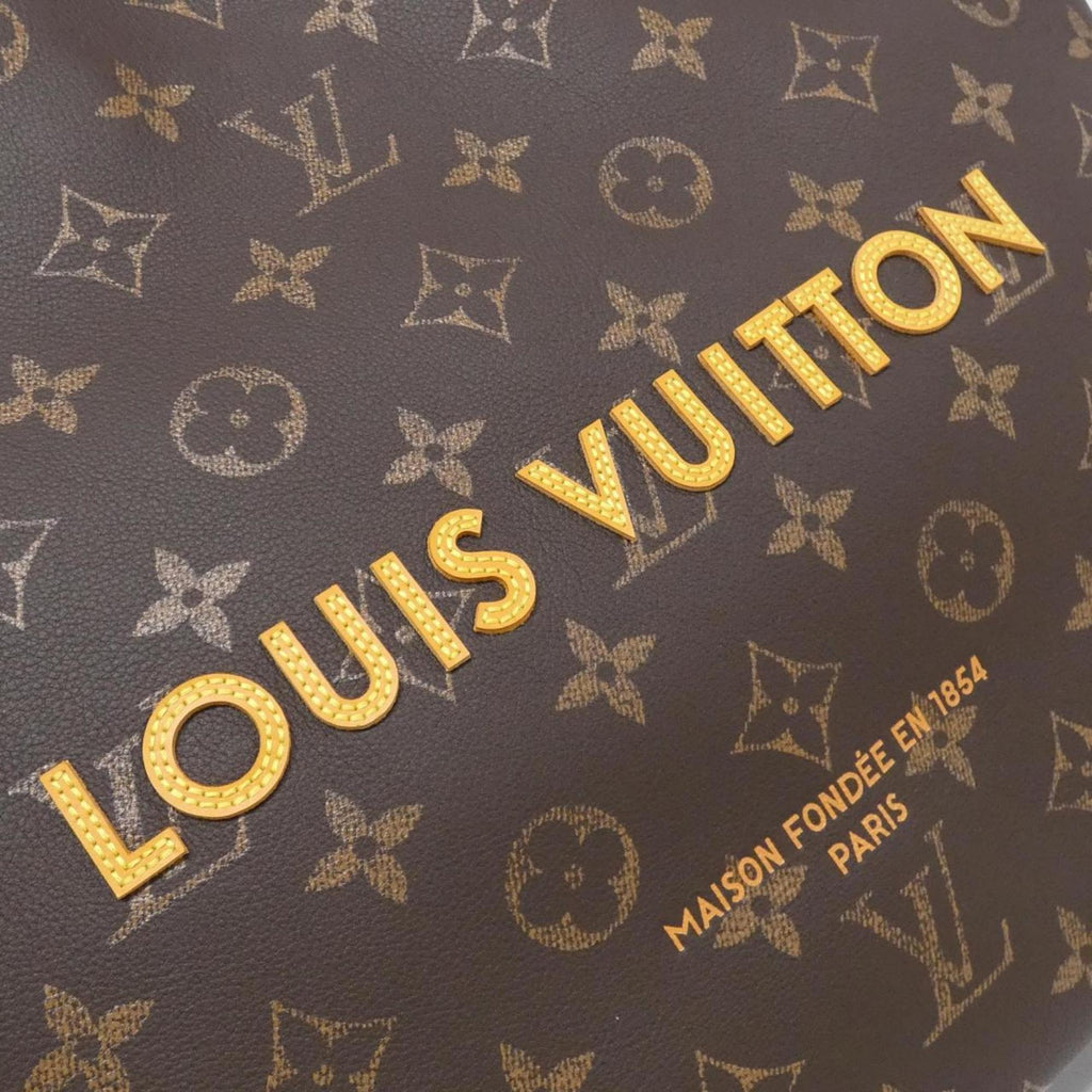 Louis Vuitton Marron Leather Handbag