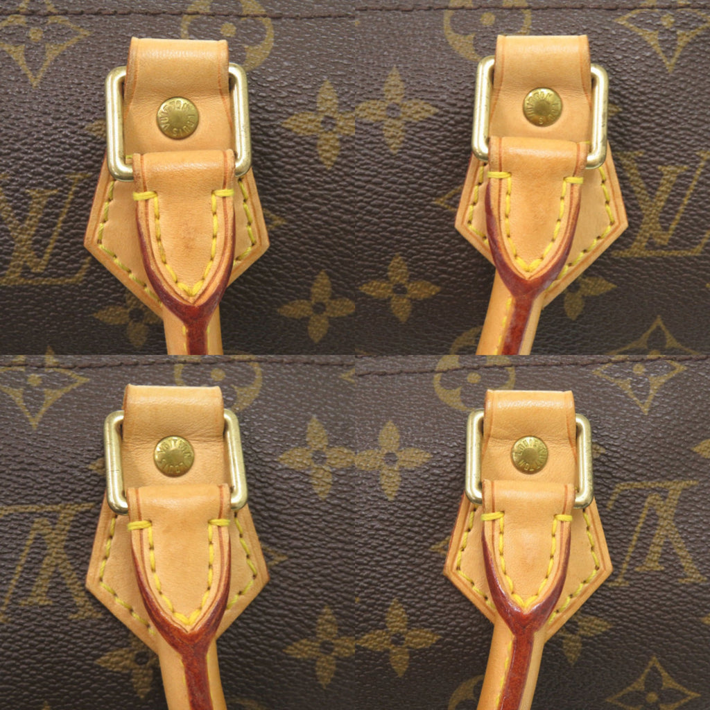Louis Vuitton Brown Monogram Monogram Handbag
