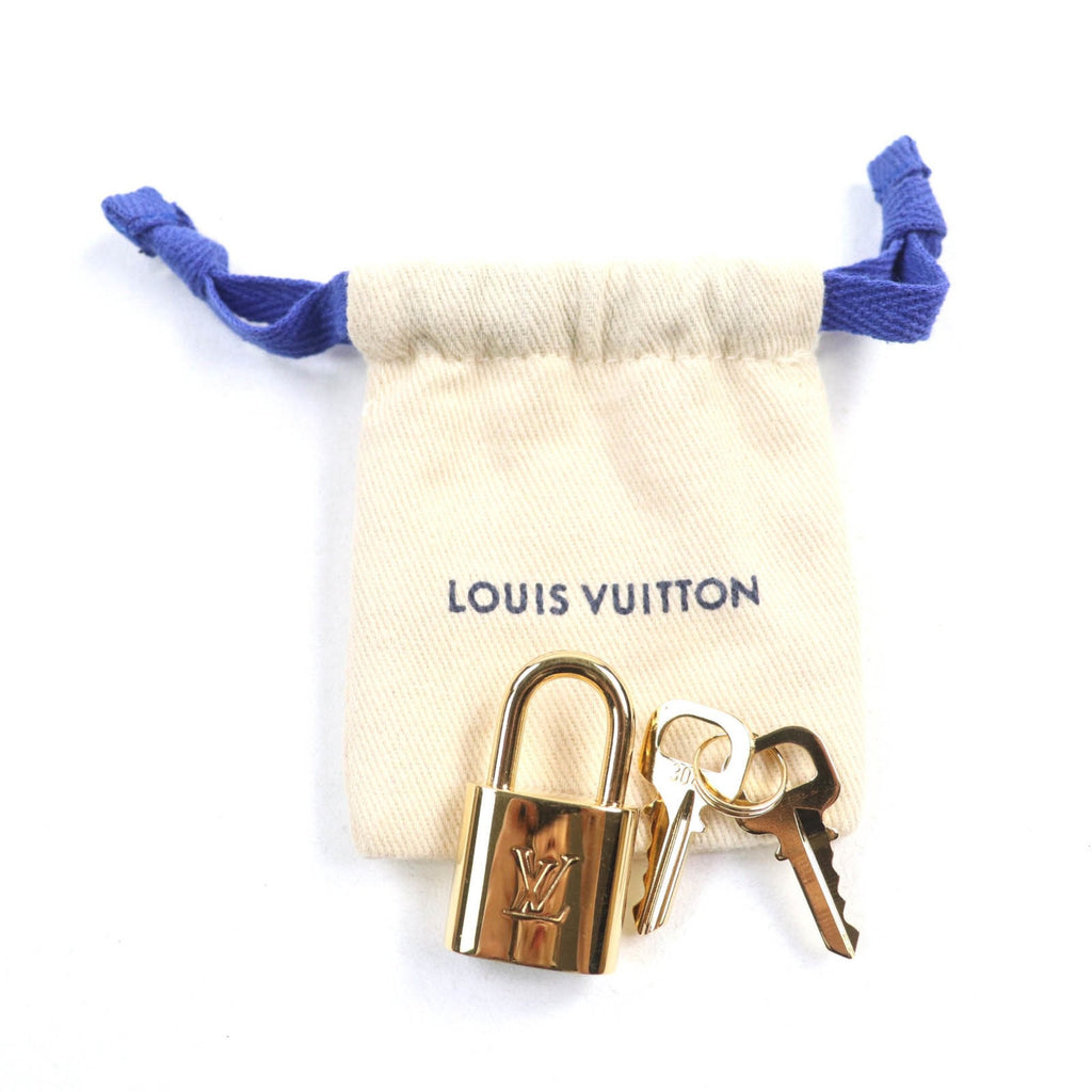 Louis Vuitton Brown Leather Handbag