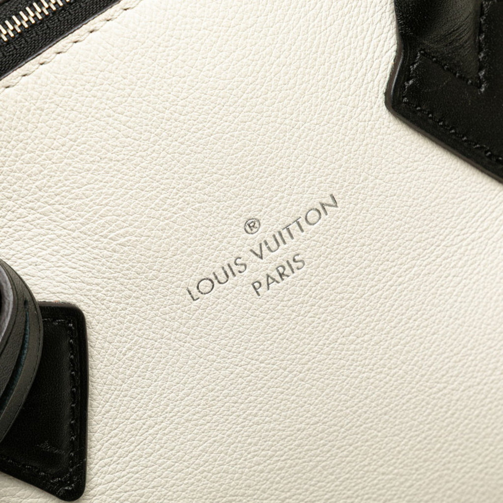 Louis Vuitton Dark Brown Off-White Leather Handbag