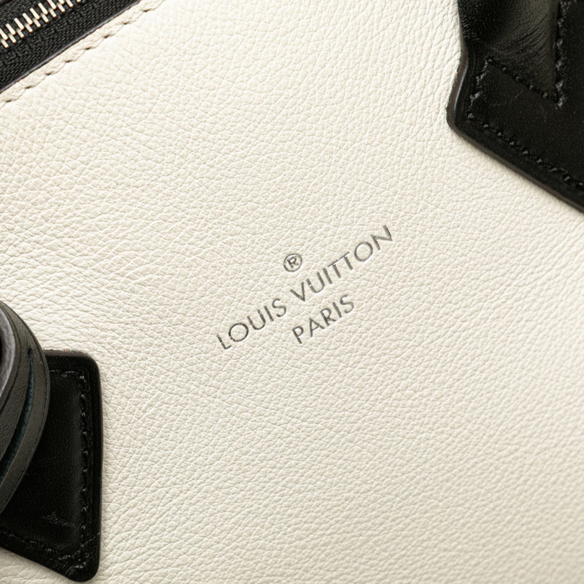 Louis Vuitton Dark Brown Off-White Leather Handbag