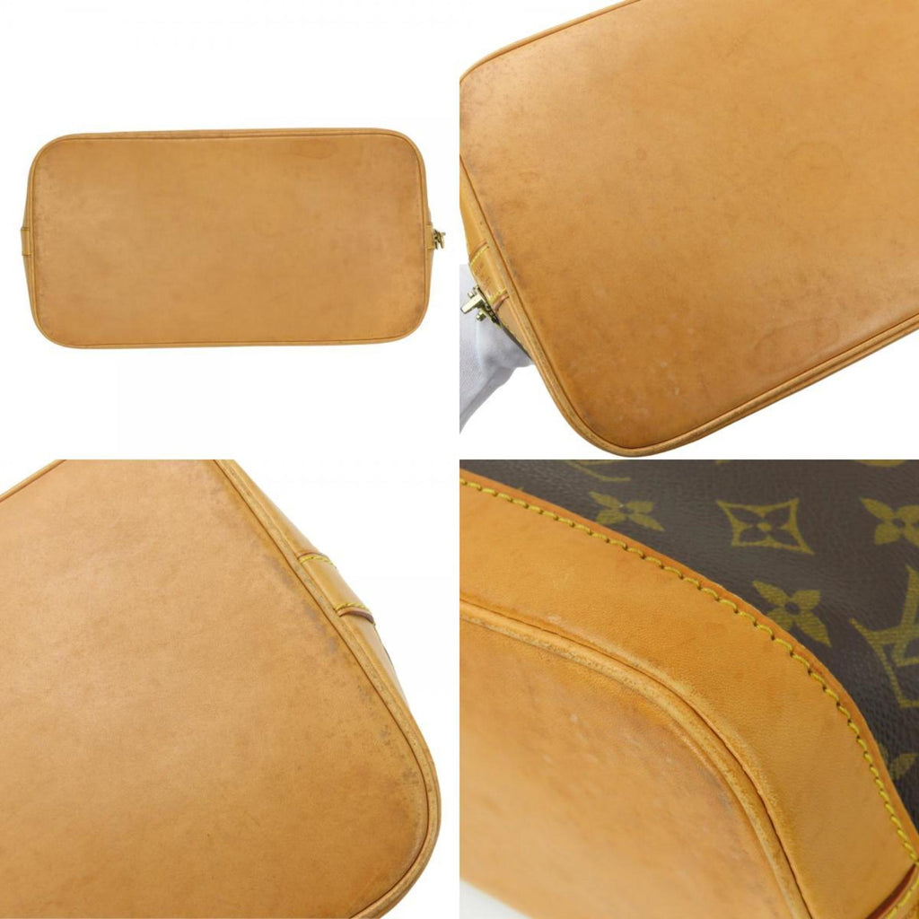 Louis Vuitton Brown Monogram Handbag