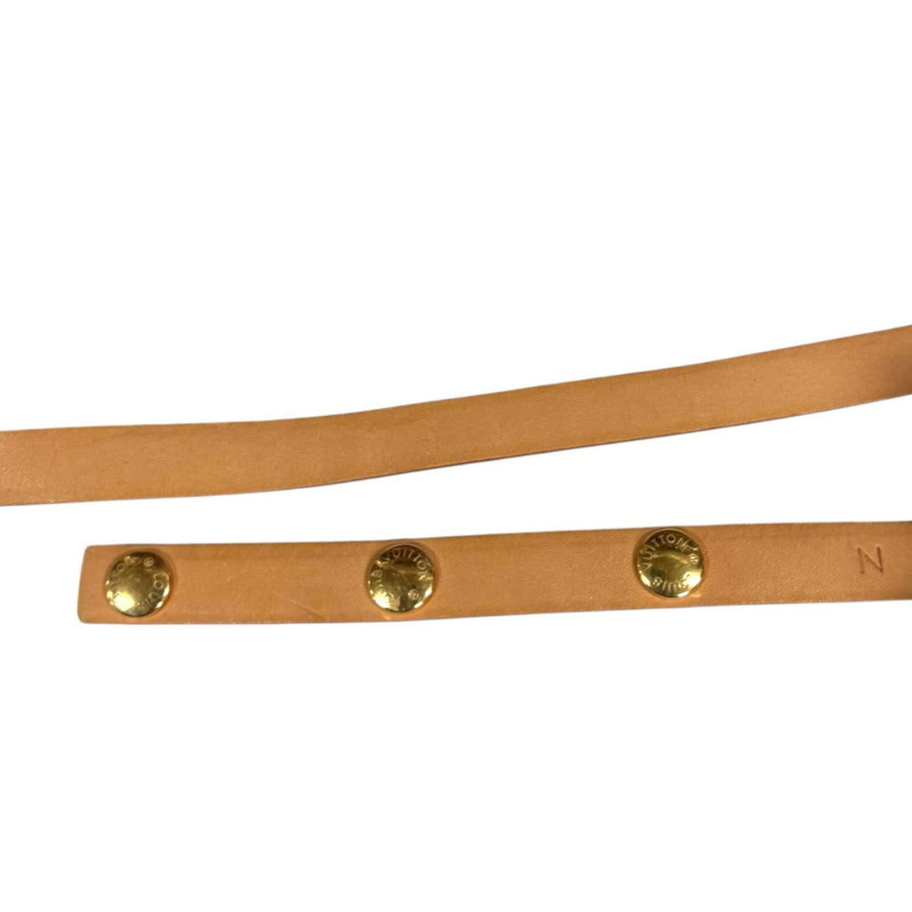 Louis Vuitton Brown Monogram Canvas Fanny Pack