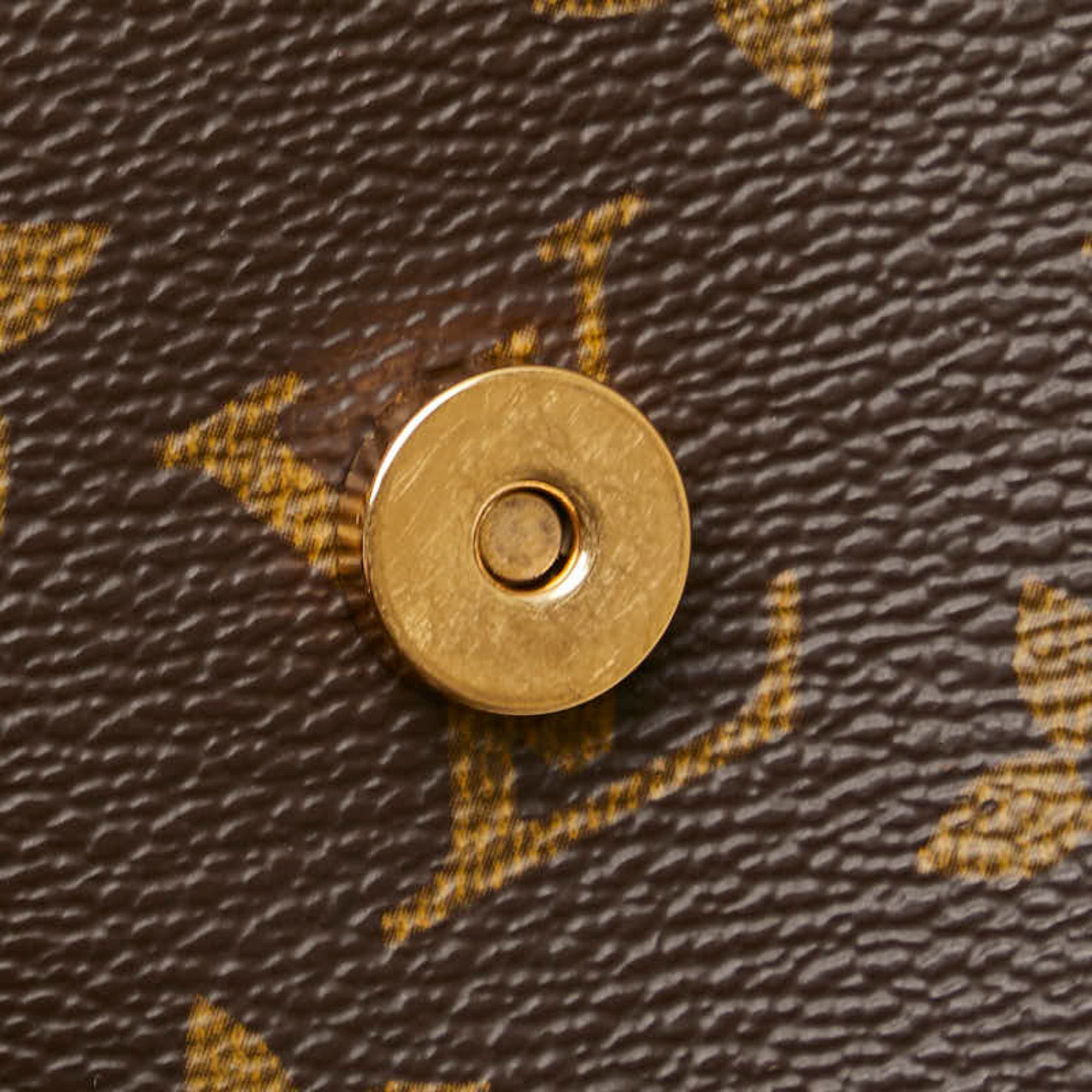 Louis Vuitton Brown Pvc Leather Shoulder Bag