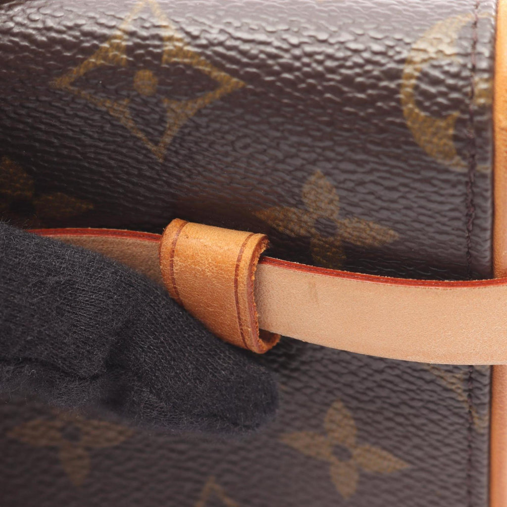 Louis Vuitton Brown Coated Canvas Pvc Monogram Leather Fanny Pack Pochette