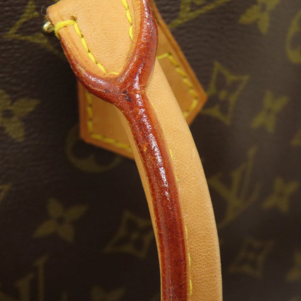 Louis Vuitton Monogram Monogram Handbag