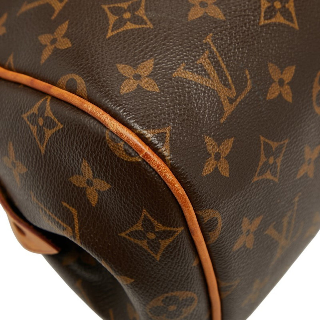 Louis Vuitton Brown Monogram Pvc Leather Handbag