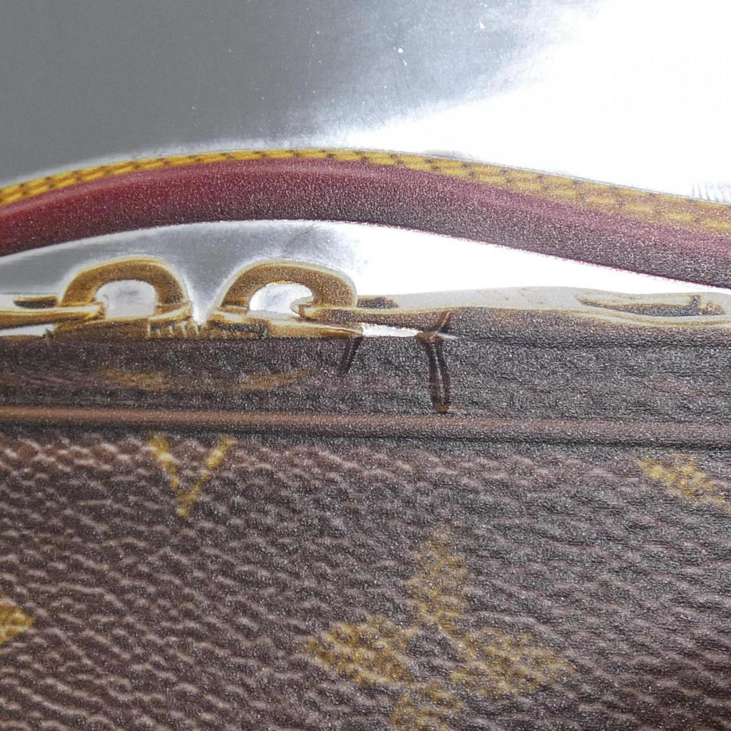 Louis Vuitton Marron Silver Coated Canvas Handbag