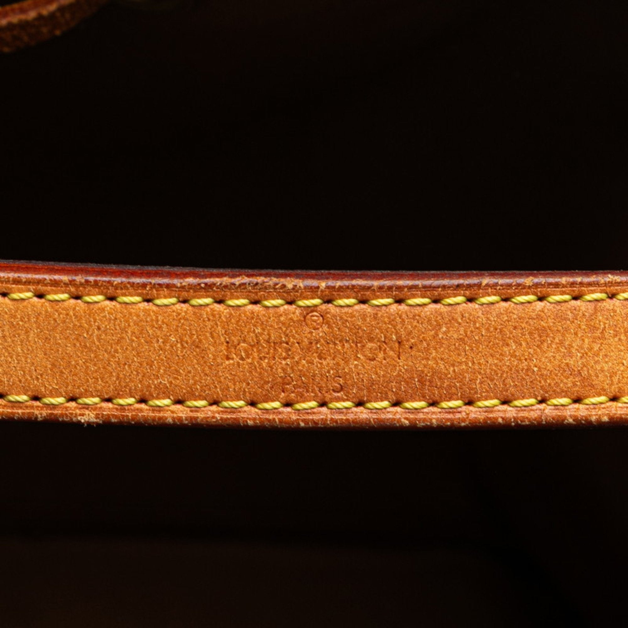 Louis Vuitton Monogram Brown Pvc Leather Handbag