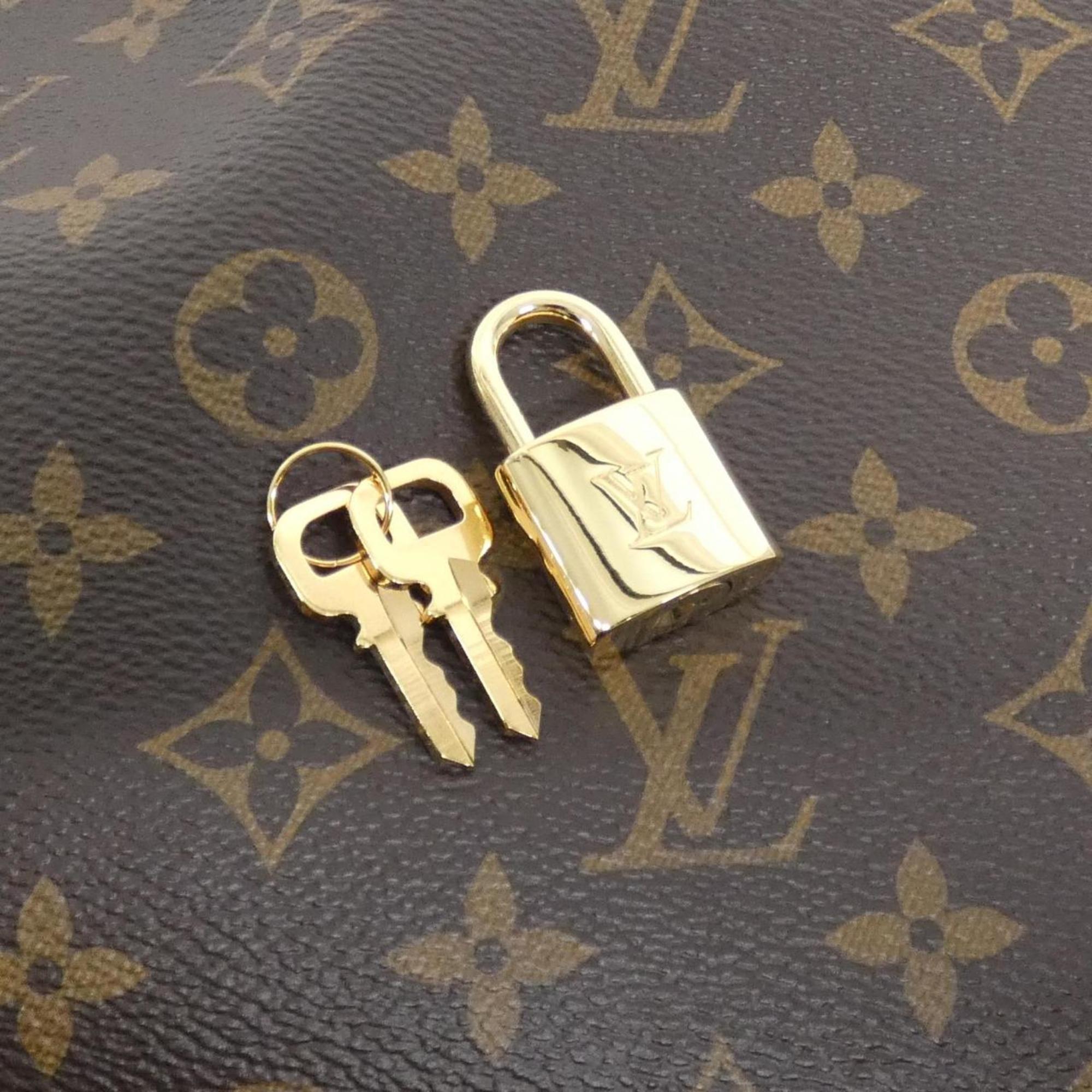 Louis Vuitton Marron Coated Canvas Handbag