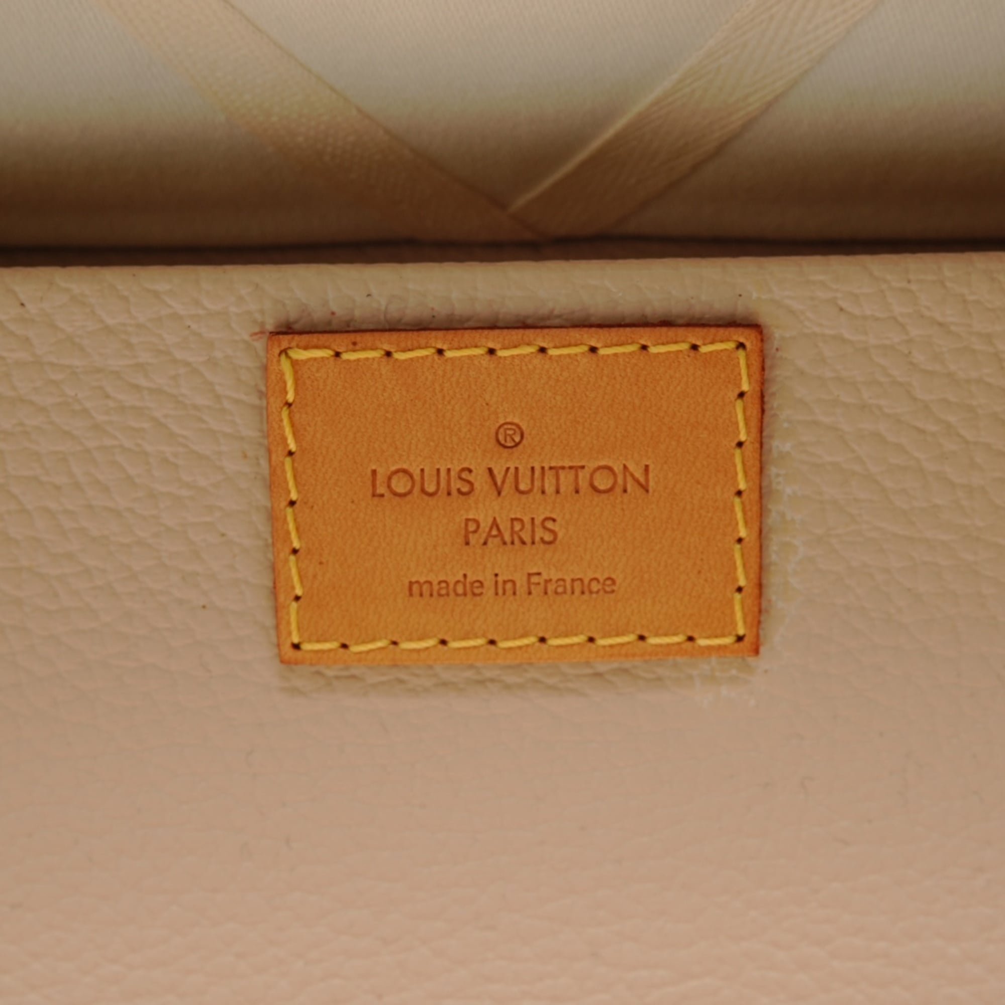 Louis Vuitton Brown Handbag