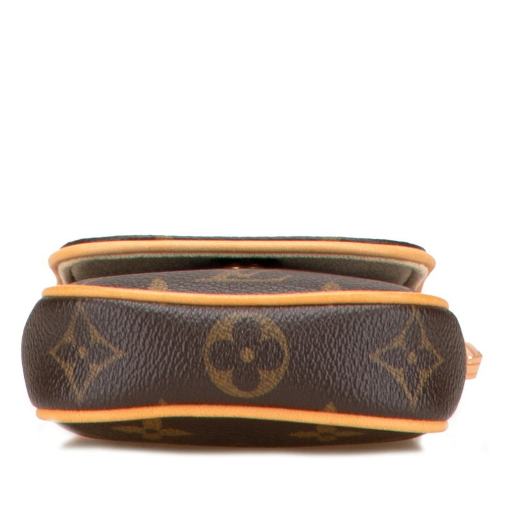 Louis Vuitton Monogram Brown Pvc Leather Pochette Shoulder Bag