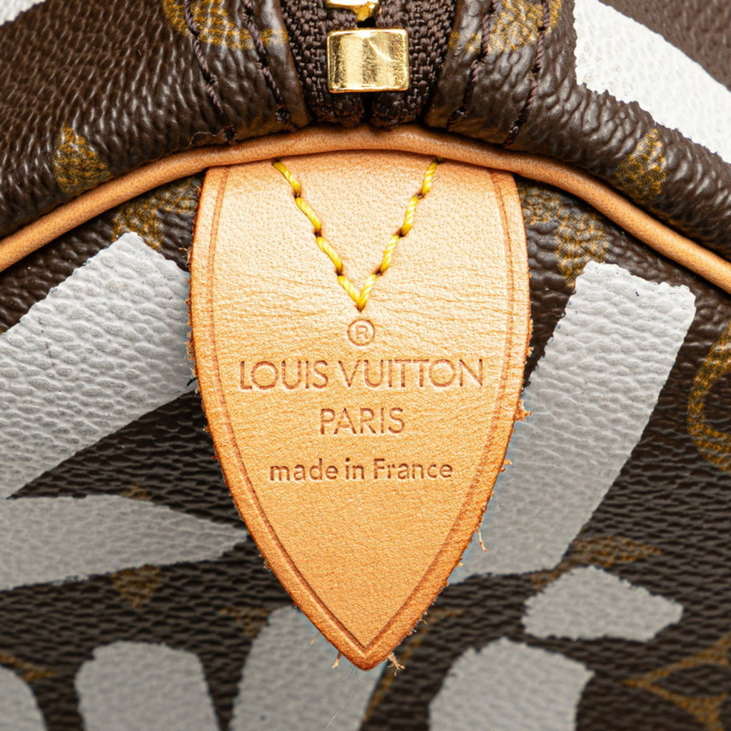 Louis Vuitton Argent Brown Pvc Leather Boston Bag