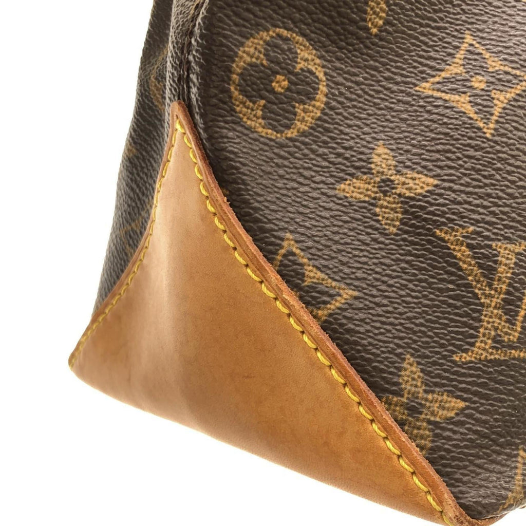Louis Vuitton Marron Coated Canvas Handbag