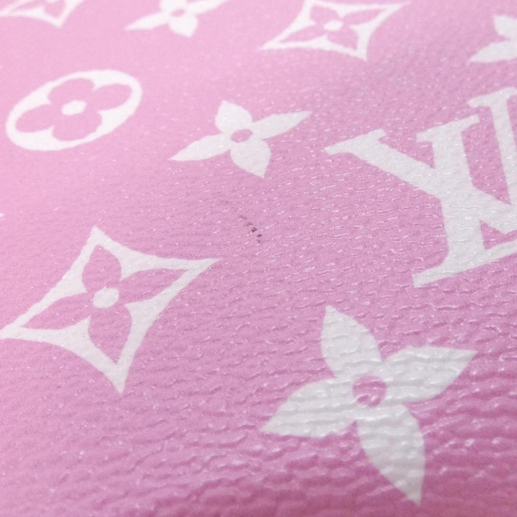 Louis Vuitton Rouge Coated Canvas Handbag Pouch