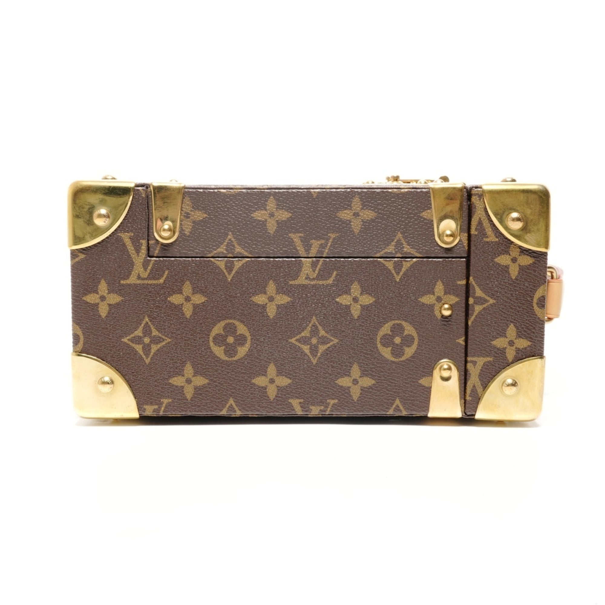 Louis Vuitton Brown Handbag